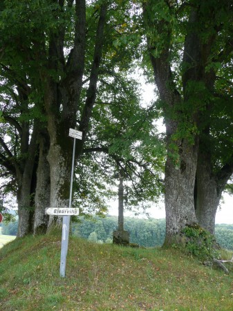 La Croix Pierron à Tignécourt (Vosges)